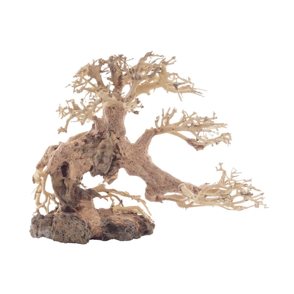 bonsai 51.jpg